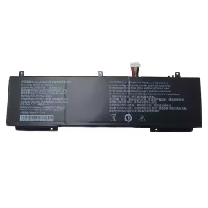 Pin Laptop 556987-3S