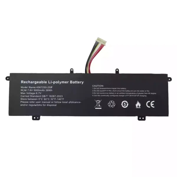 Pin Laptop 4567250-2SP